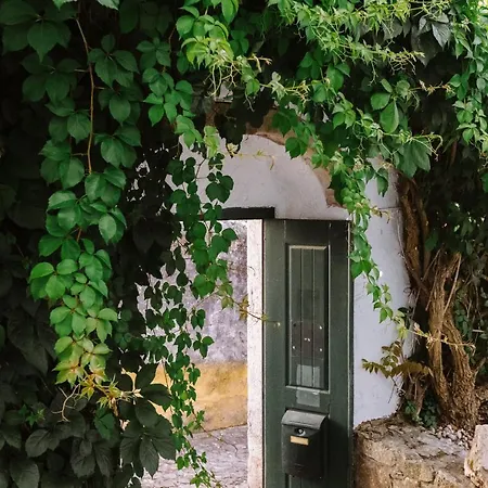 Casa António Moreira Óbidos