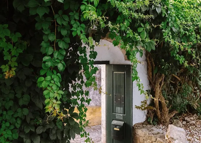 Casa Antonio Moreira Обидуш